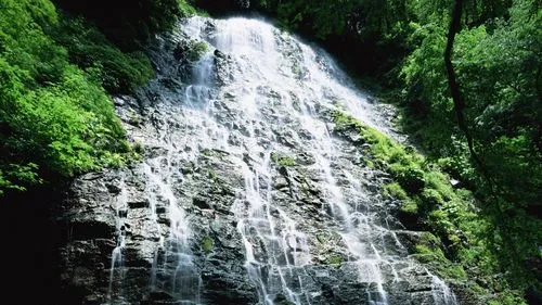 高精度自动化
